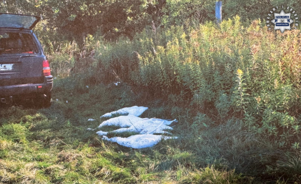 Skandal podczas polowania. Myśliwi zastrzelili cztery łabędzie objęte ochroną