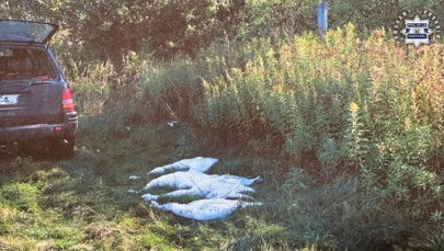 Skandal podczas polowania. Myśliwi zastrzelili cztery łabędzie objęte ochroną