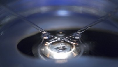 Skandal w klinikach in vitro. Lekarz miał zapładniać pacjentki własnym nasieniem