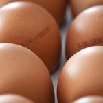 Skandal ws. zatrutych jaj kurzych w Holandii i Belgii. Ponad 2 mln w Niemczech