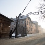 Skandaliczny spot PiS. Muzeum Auschwitz ostro reaguje
