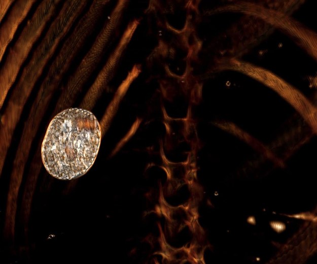 Skarabeusz serca, jeden z 49 amuletów na ciele nastolatka /foto: Ministry of Tourism and Antiquities/Facebook /