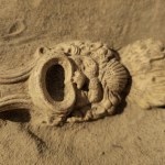 Skarb na cmentarzu. 1900-letnia rzymska lampa w kształcie maski