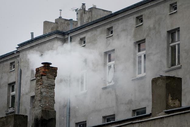 Skarb Państwa może dotkliwie odpowiedzieć za smog /fot. Piotr Kamionka /Reporter