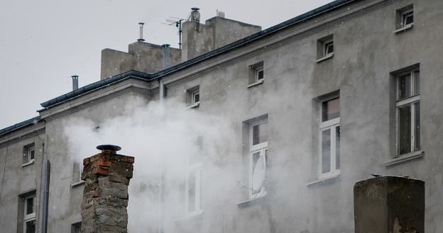 Skarb Państwa może dotkliwie odpowiedzieć za smog /fot. Piotr Kamionka /Reporter