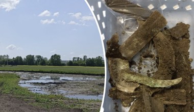 Skarb sprzed 3 tys. lat na czeskich bagnach. Wskazuje na pradawny rytuał