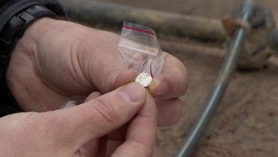 Skarb w centrum Poznania. Archeolodzy znaleźli monety sprzed kilkuset lat