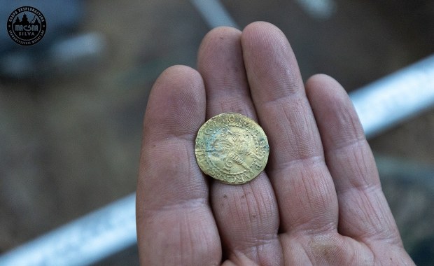 Skarb w Puszczy Knyszyńskiej. To monety z XVII wieku