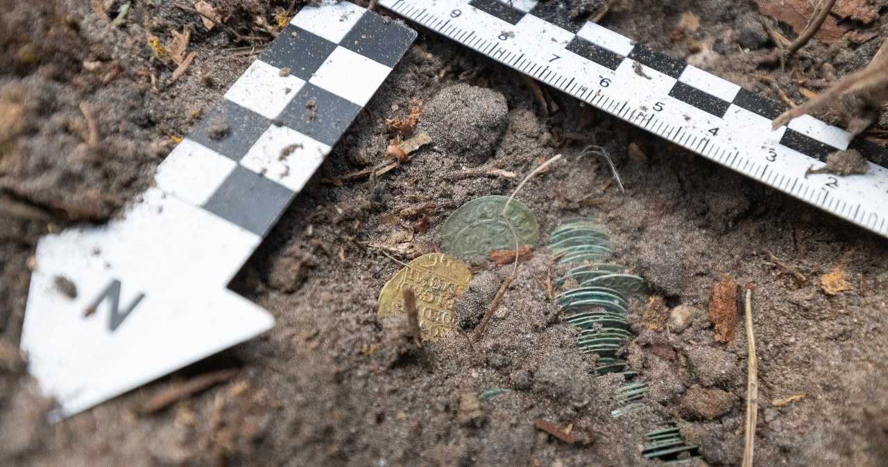 Skarb w Puszczy Knyszyńskiej. To monety z XVII wieku