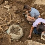 Celtowie Skarb z Melsonby jest wyjątkowy. Badacze podali nowe szczegóły