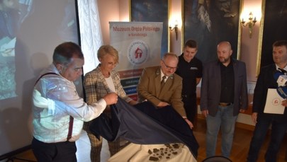 Skarb z Sidłowa. "Nie były to leśne dzikusy, tylko zaawansowana cywilizacja"