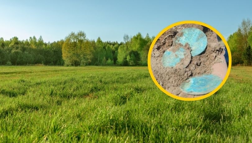 Skarb z XVII wieku odkryty w Bukowcu Wielkim! Srebrne monety już wkrótce na wystawie w Działdowie /źródło: Shutterstock/Gmina Janowiec Kościelny/Facebook /