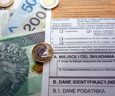 Skarbówka kontroluje PIT-y. Matka skorzystała z ulgi. Musiała się tłumaczyć