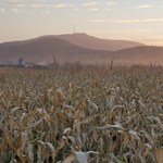 Skarby ukryte na Ślęży. Od kosztowności po Świętego Graala?