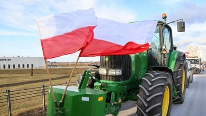 ​Skarga PE na Mercosur wysłana do TSUE. Co zrobi Polska?