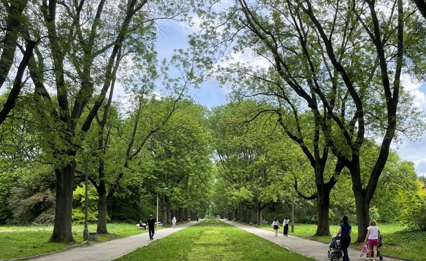 Skaryszak zostanie zmodernizowany. Park odzyska historyczny wygląd