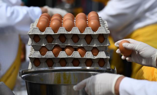 Skażone fipronilem jaja wykryto w 40 krajach, w tym w 24 krajach UE /AFP