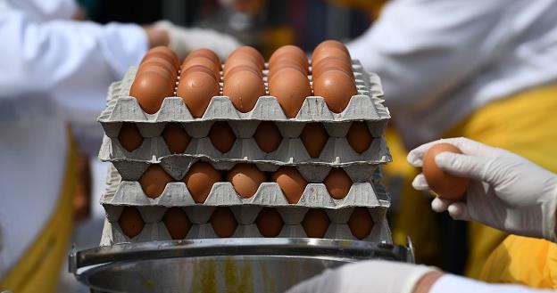 Skażone fipronilem jaja wykryto w 40 krajach, w tym w 24 krajach UE /AFP