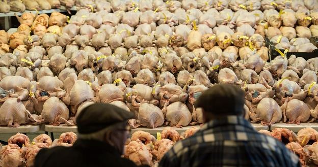 Skażone kurczaki dotarły do Polski (zdjęcie ilustracyjne) /AFP