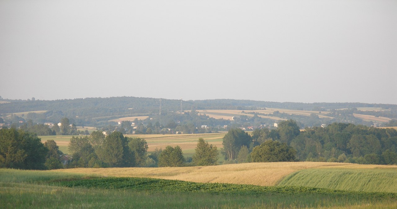 Skierbieszowski Park Krajobrazowy /Shleiderbmx /CC-BY 3.0