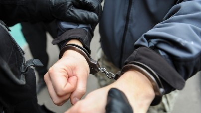 Składali propozycje seksualne dziewczynkom. Dwaj pedofile zatrzymani