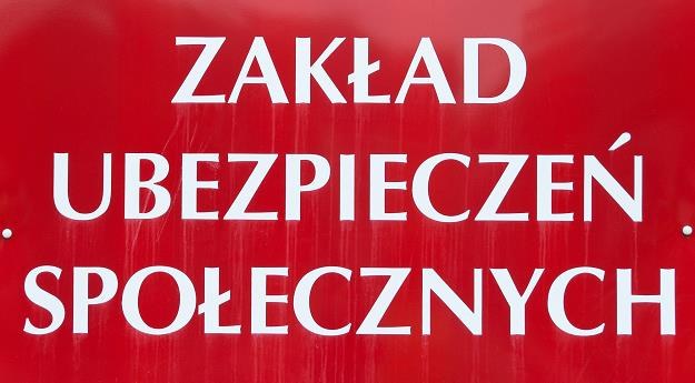 Składki na ZUS dla przedsiębiorców wzrosną do 1232 zł miesięcznie /fot. Łukasz Grudniewski /East News