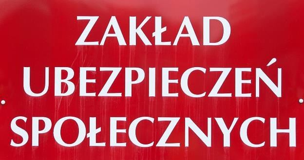 Składki na ZUS wzrosną o co najmniej 40 zł /fot. Łukasz Grudniewski /East News