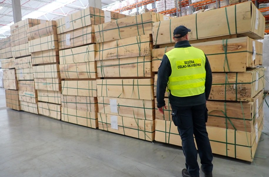 Sklejka brzozowa /Pomorski Urząd Celno-Skarbowy w Gdyni /