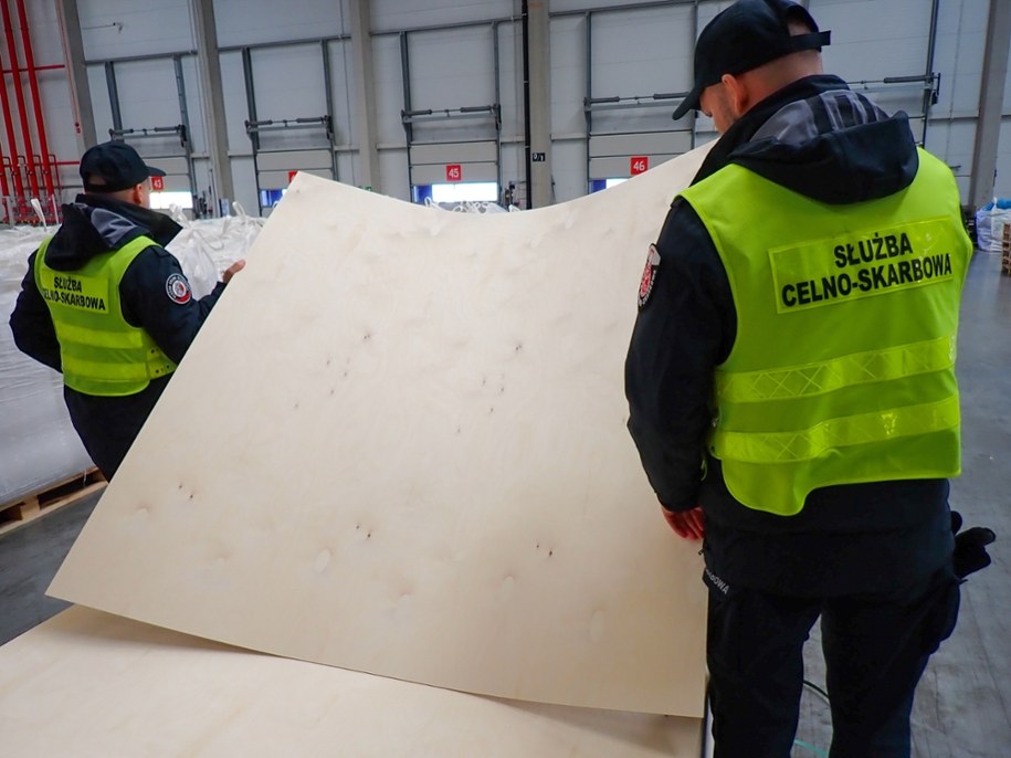 Sklejka brzozowa /Pomorski Urząd Celno-Skarbowy w Gdyni /