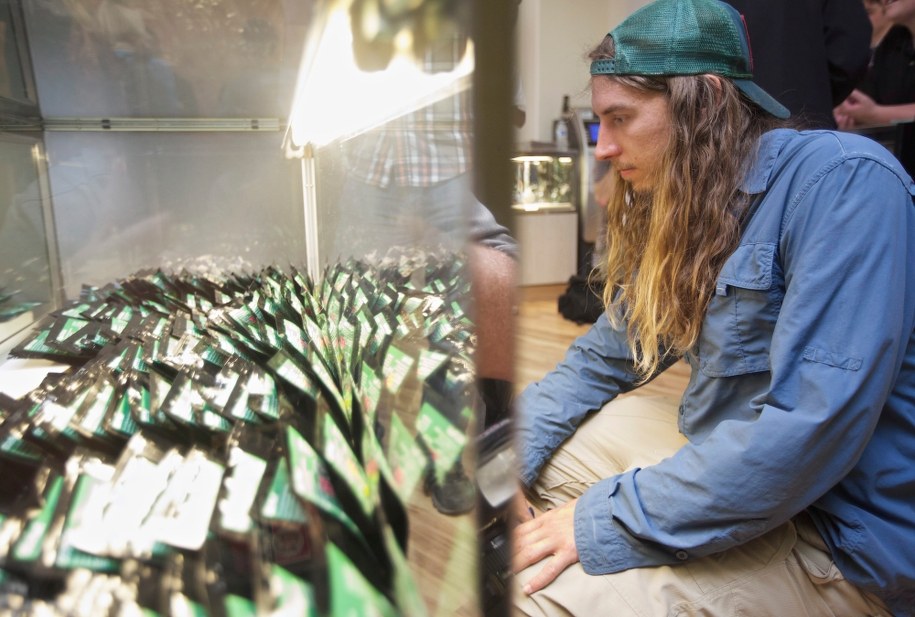 Sklep z marihuaną w USA /STEPHEN BRASHEAR /PAP/EPA