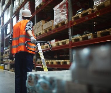 Stores are looking for warehouse workers.  How much do Bedronka, Lidl and Dino pay?