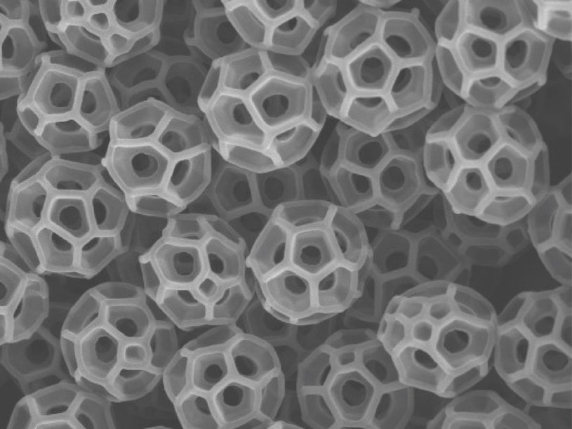 Skoczkowate wytwarzają niezwykle złożone nanocząsteczki zwane „brochosomami” /Lin Wang and Tak-Sing Wong / Penn State /domena publiczna
