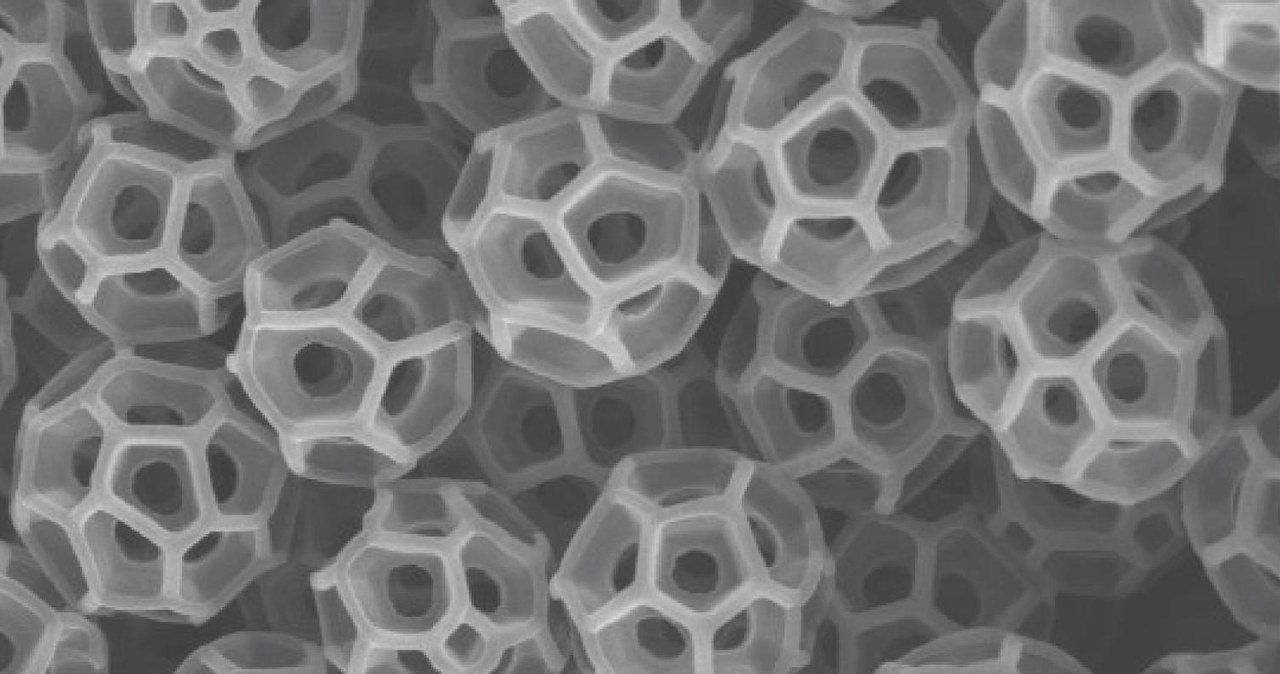Skoczkowate wytwarzają niezwykle złożone nanocząsteczki zwane „brochosomami” /Lin Wang and Tak-Sing Wong / Penn State /domena publiczna
