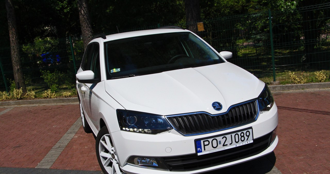 Skoda Fabia cieszy się w Polsce bardzo dużym zainteresowaniem /INTERIA.PL