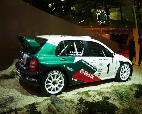 Skoda Fabia WRC /INTERIA.PL