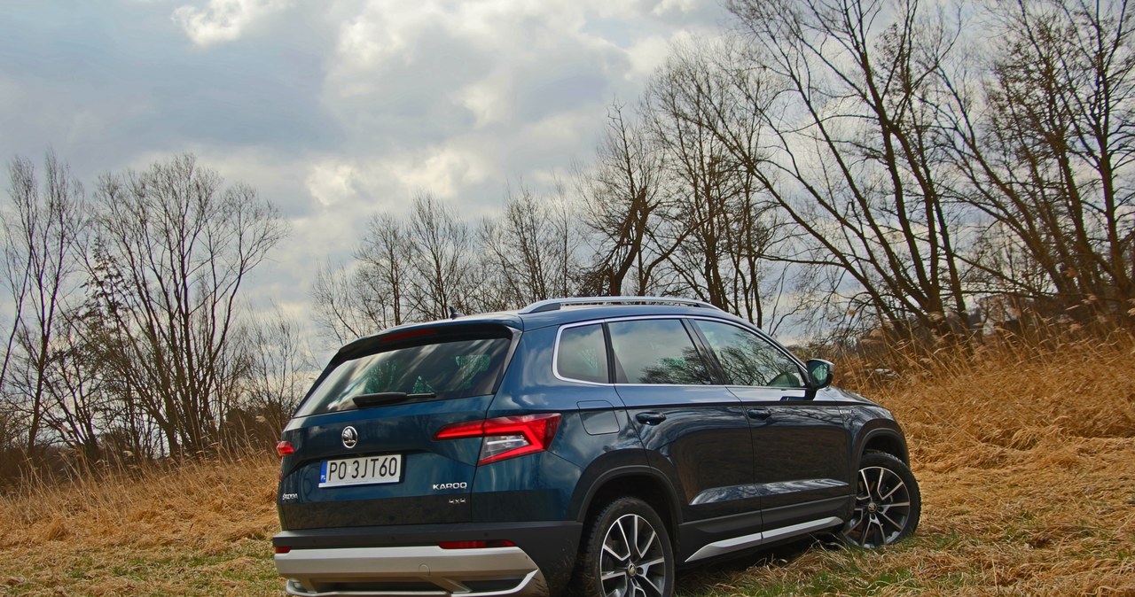 Skoda Karoq Scout 1.5 TSI 4x4 /INTERIA.PL