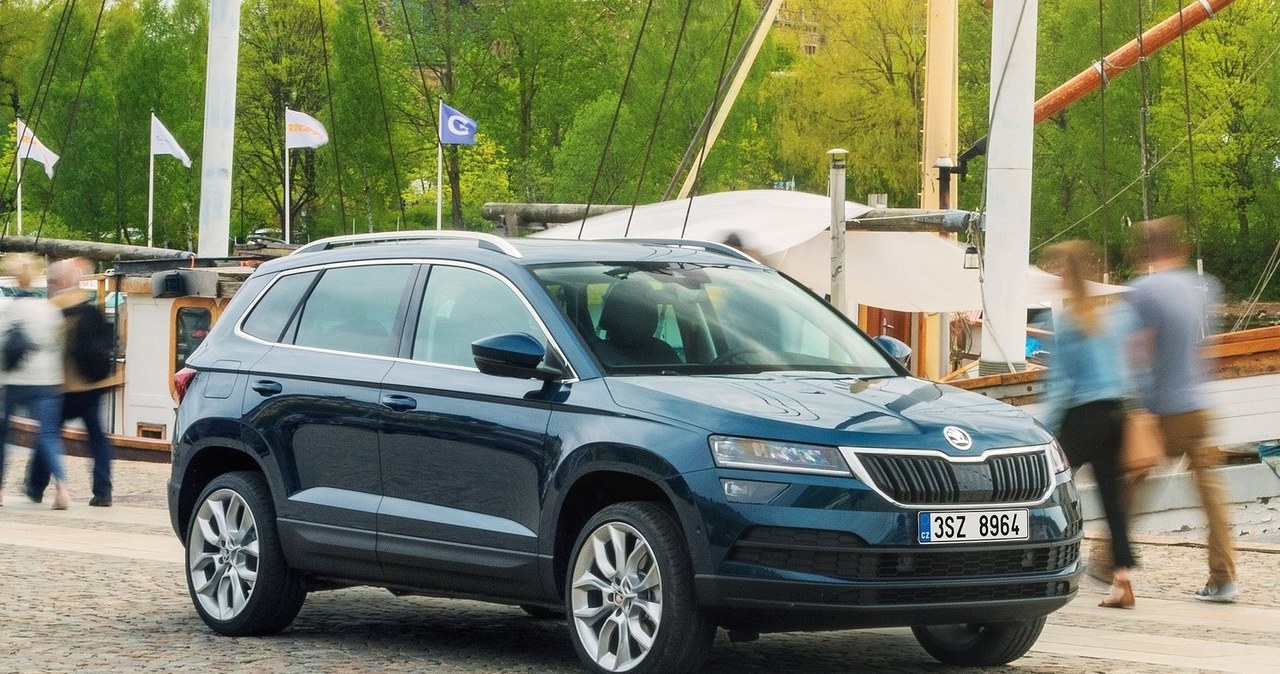 Skoda Karoq /Informacja prasowa