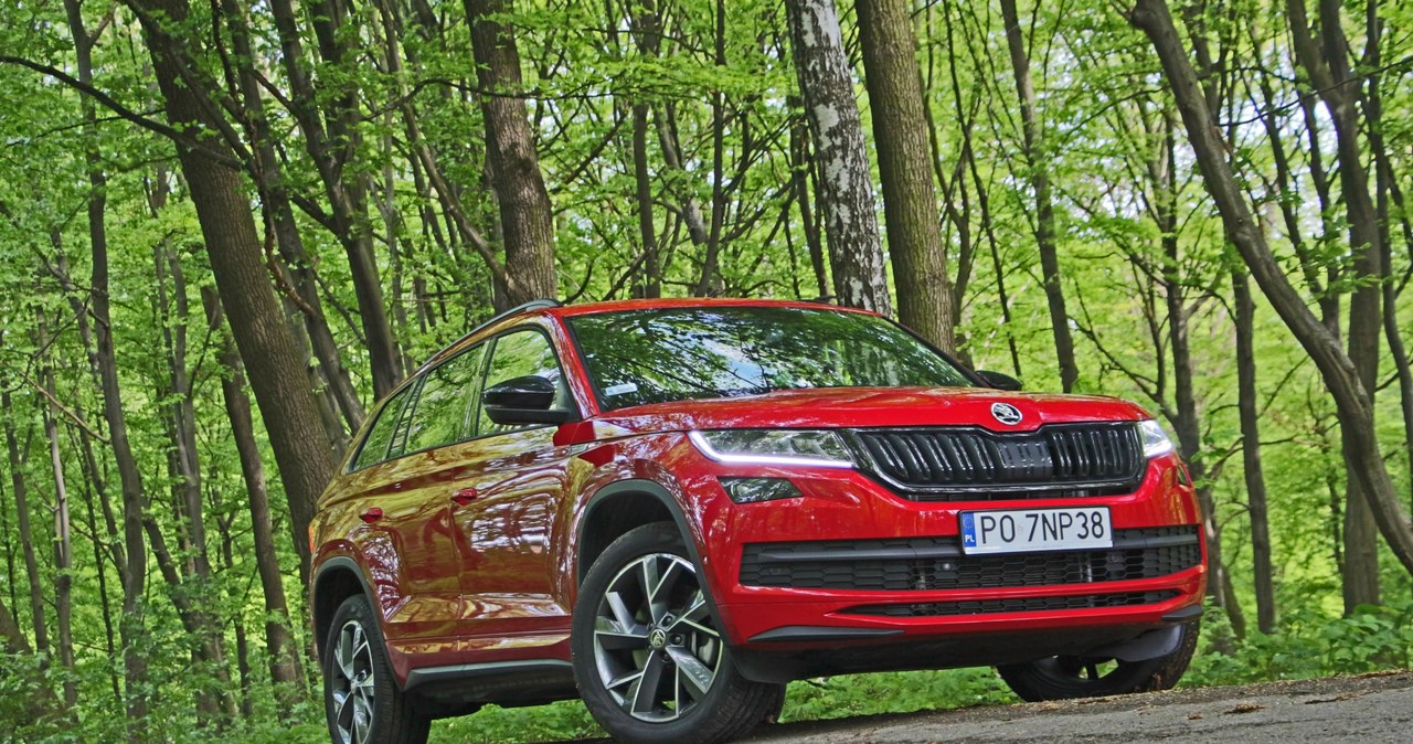 Skoda Kodiaq 2.0 TDI Sportline /INTERIA.PL