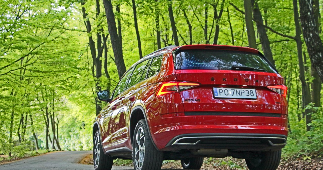 Skoda Kodiaq 2.0 TDI Sportline /INTERIA.PL