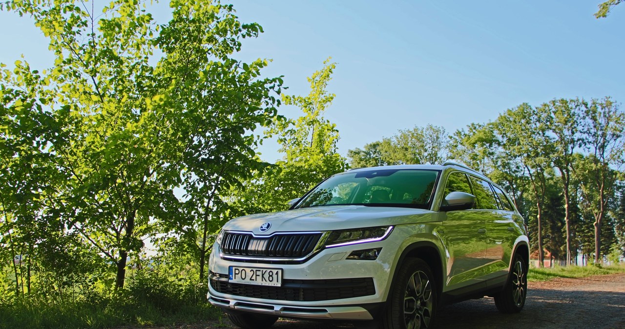 Skoda Kodiaq Scout /INTERIA.PL