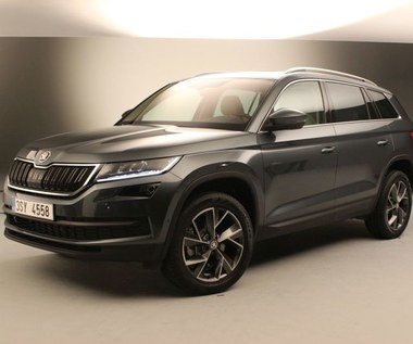 Skoda Kodiaq w pełnej krasie!