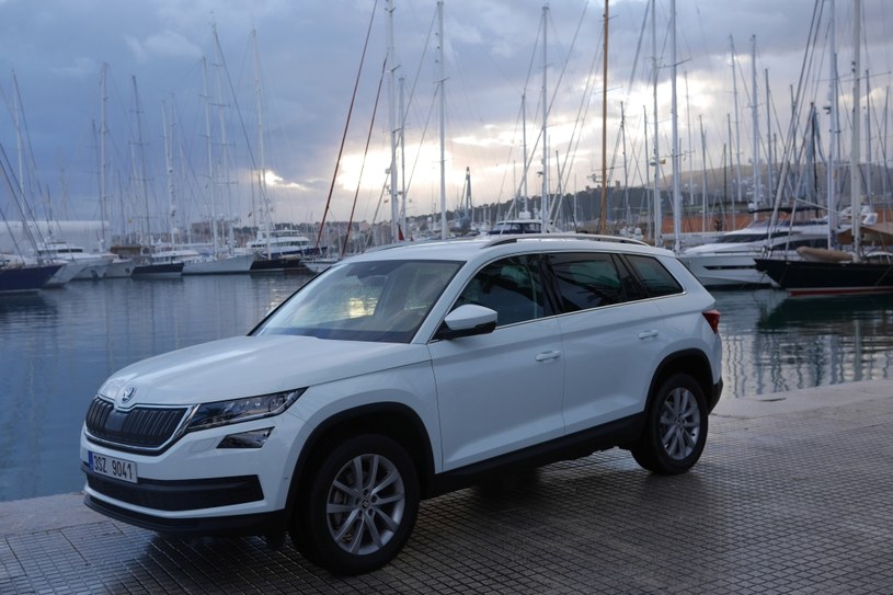 Skoda Kodiaq /INTERIA.PL