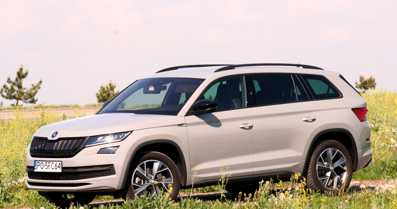 Skoda Kodiaq /INTERIA.PL