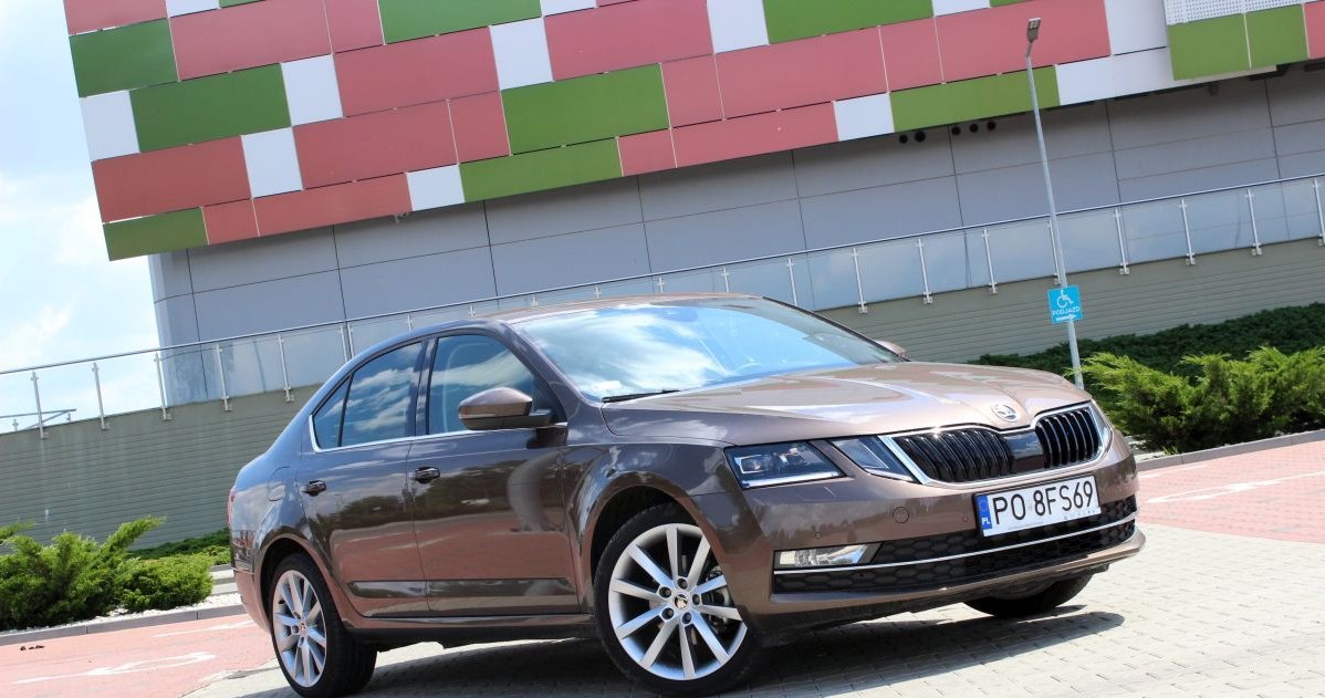 Skoda Octavia 1.0 TSI /INTERIA.PL