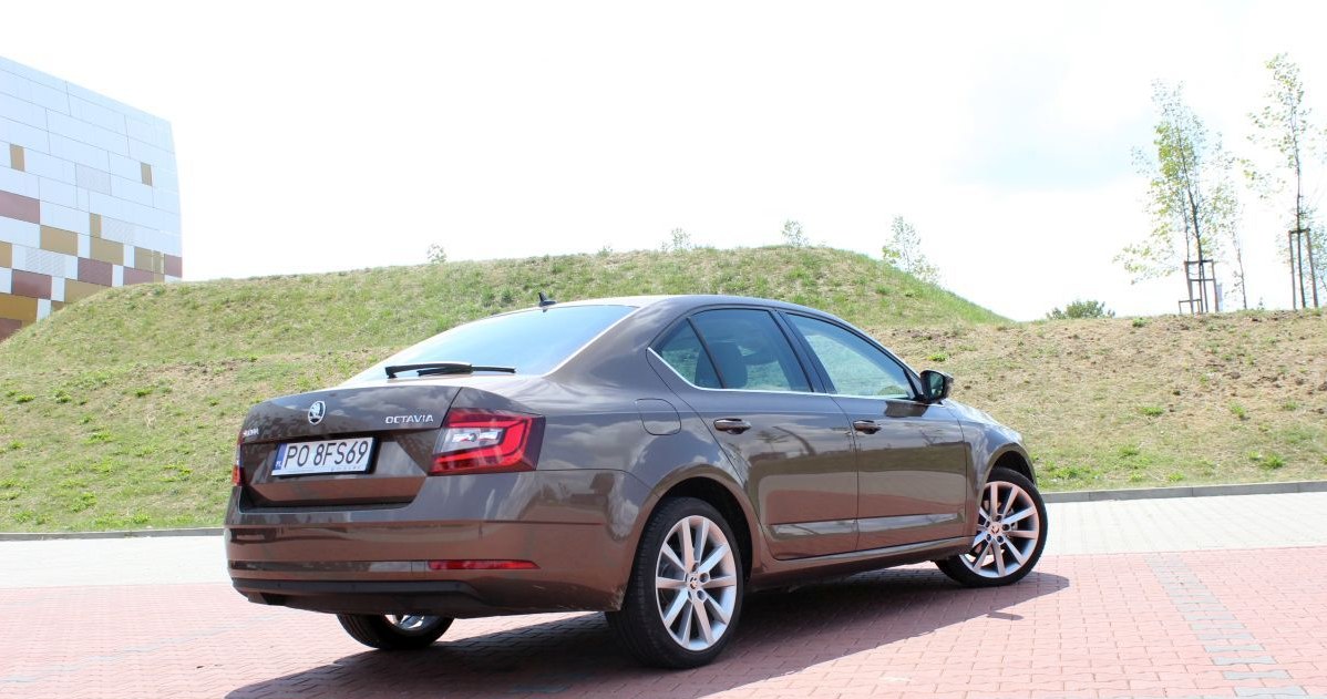 Skoda Octavia 1.0 TSI /INTERIA.PL