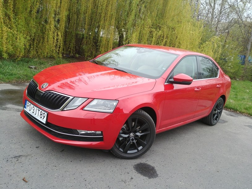 Skoda Octavia 1.0 TSI /INTERIA.PL