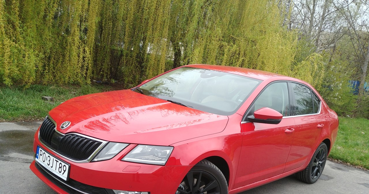 Skoda Octavia 1.0 TSI /INTERIA.PL