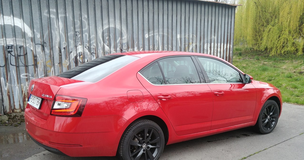 Skoda Octavia 1.0 TSI /INTERIA.PL