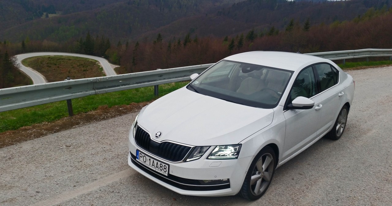 Skoda Octavia 2.0 TDI 4x4 Style /INTERIA.PL