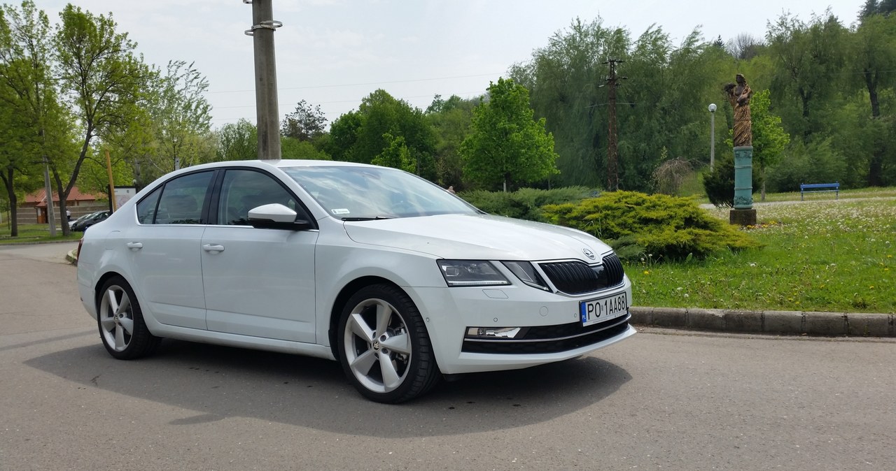 Skoda Octavia 2.0 TDI 4x4 /INTERIA.PL